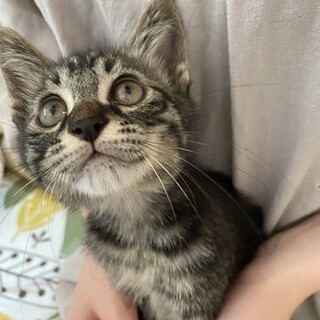 おくら君　2ヶ月の男の子