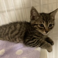 にこ