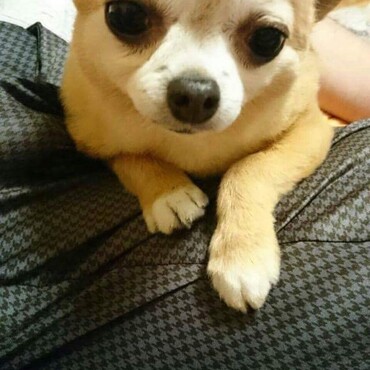 逢いたいなぁ〜