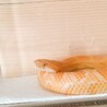あんこ饅頭