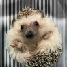 　応募があったため一時停止中 サムネイル2