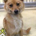 7キロ小柄なこです