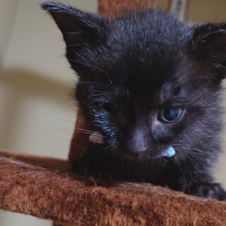 ●あゆむ＆おみつ●