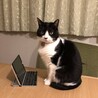 テレワーク中。