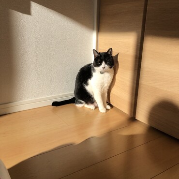 朝日を浴びる。