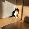 朝日を浴びる。