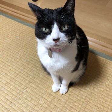 なんかください。
