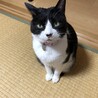 なんかください。