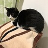 の写真