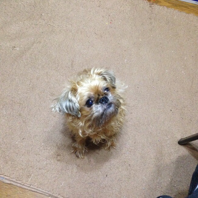 KAJU6のカバー写真