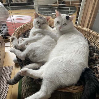仲良し親子を一緒にお願いできませんか