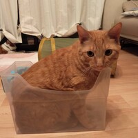ちゃたろう