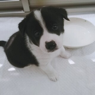 お申込み多数の為、募集を一時停止します