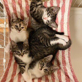 6/26Terra里親会に参加❗️