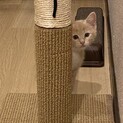 バンちゃん　