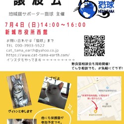 保護猫譲渡会in愛知県新城市