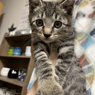 6つ子の中で1番のやんちゃ坊主です！