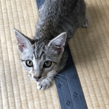 の写真