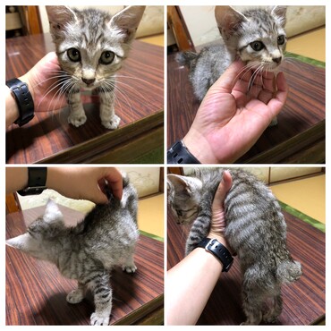 ■シャンプーしてもらって更に可愛くなりました‼︎