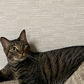 心を閉ざした男の子