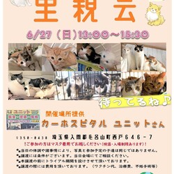 カーホスピタルユニット里親会