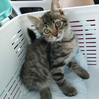 ママとはぐれて迷子になってしまいました