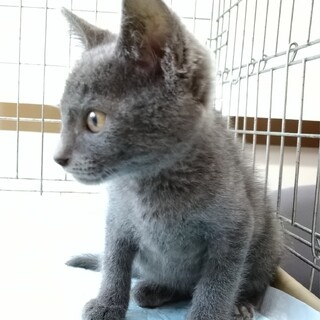 ママとはぐれて迷子になってしまいました