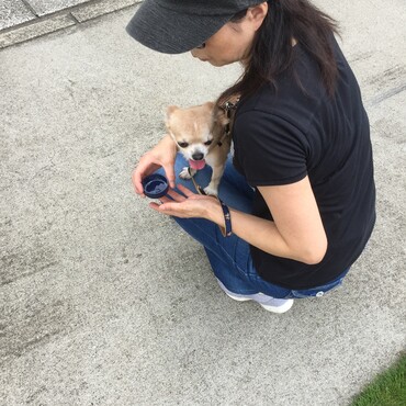 の写真