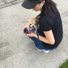 の写真
