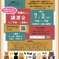 ほご猫の譲渡会　大阪藤井寺市