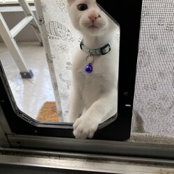 まつりさん、日光浴デビュー