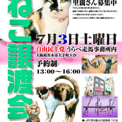 ねこ譲渡会＠茨木市　　うらべ走馬様事務所