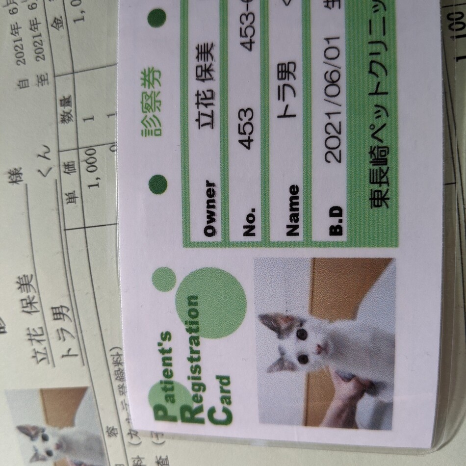 トラ男のカバー写真