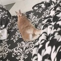 ご応募ありがとうございました