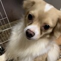 甘えん坊ワンダーくん
