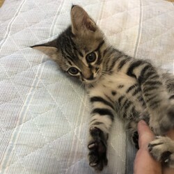 元気にいてくれるだけで