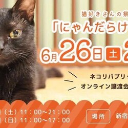 ネコのバス オンライン譲渡会「にゃんだけ vol.11」