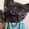 里親決定しました サムネイル5