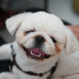 ☆❣️家族がきまりました❣️☆