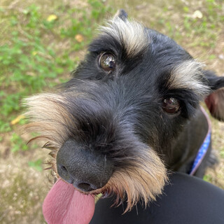 落ち着いた性格のかのんちゃん♪