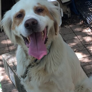 いつもご機嫌！笑顔いっぱいのセッター男子、アンドレ