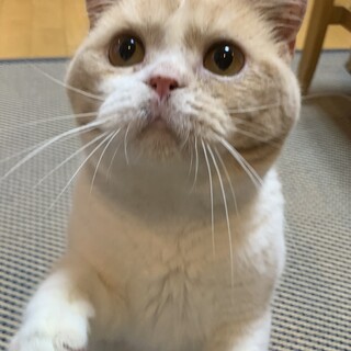 おっとり甘えん坊のアムロくん☆