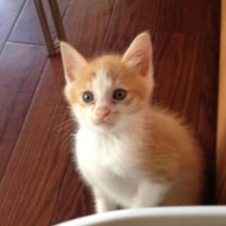 お世話上手な子。