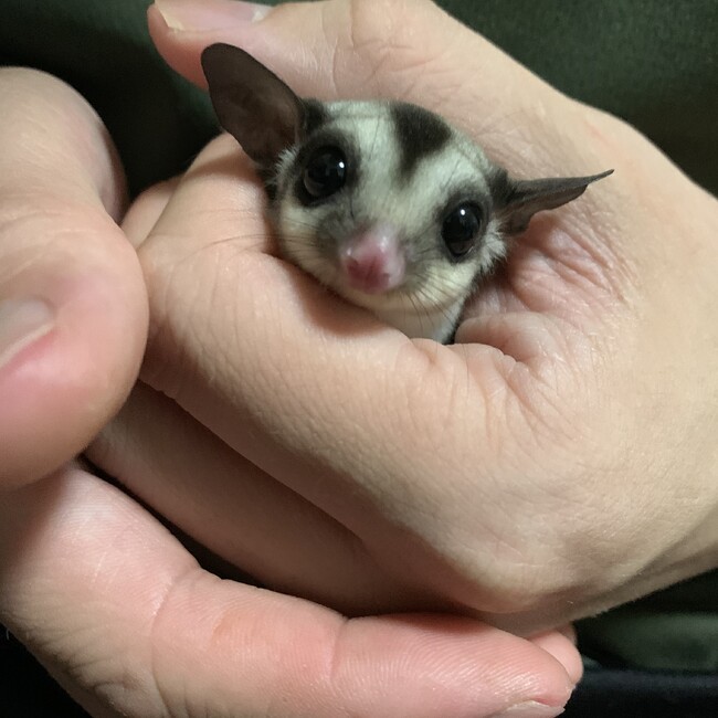 　かず　のカバー写真