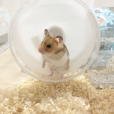 の写真