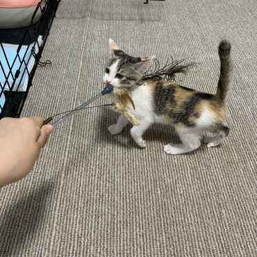 離してもろて…