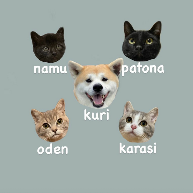 彩沙のカバー写真