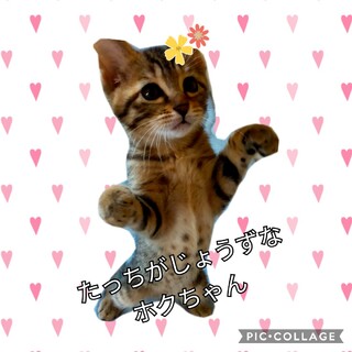 萌えキュンホクちゃん