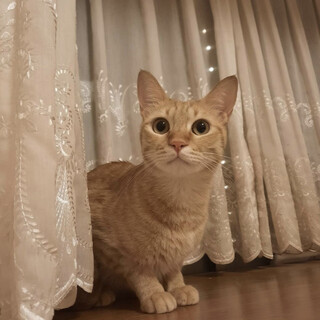 【7/11東銀座】ティトくん2歳♪