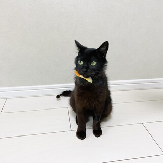 全力で甘えて欲しい方にオススメ！小柄な女の子